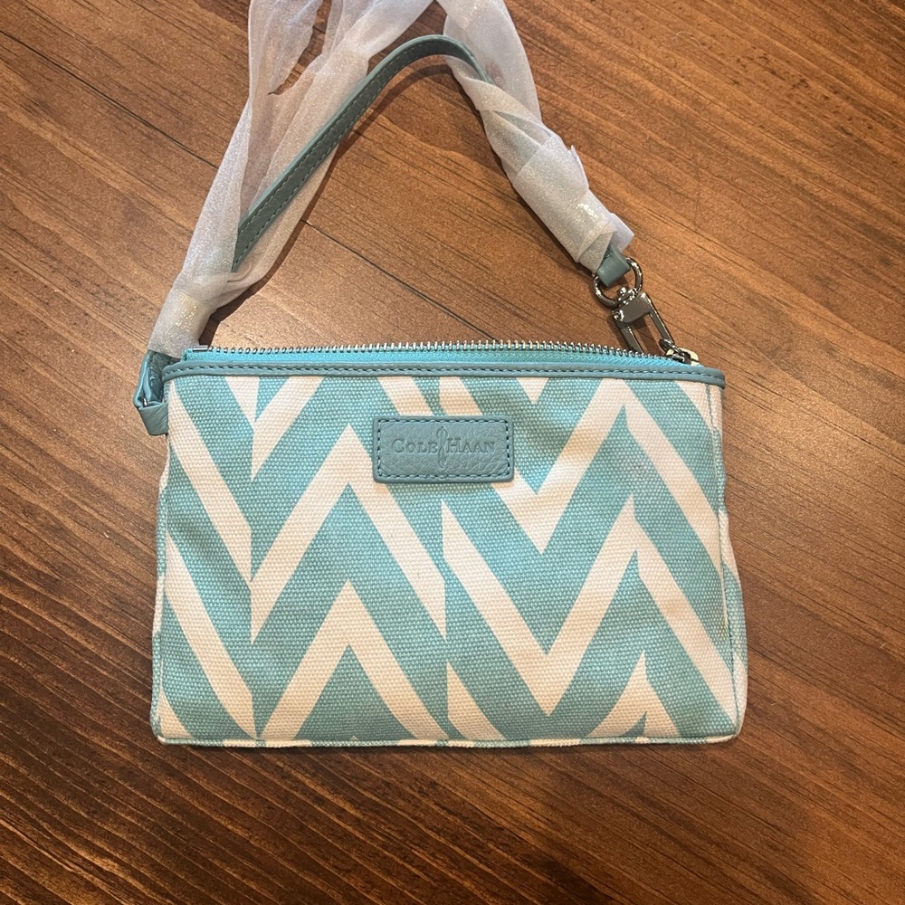 Cole Haan Teal and White Chevron Bag
